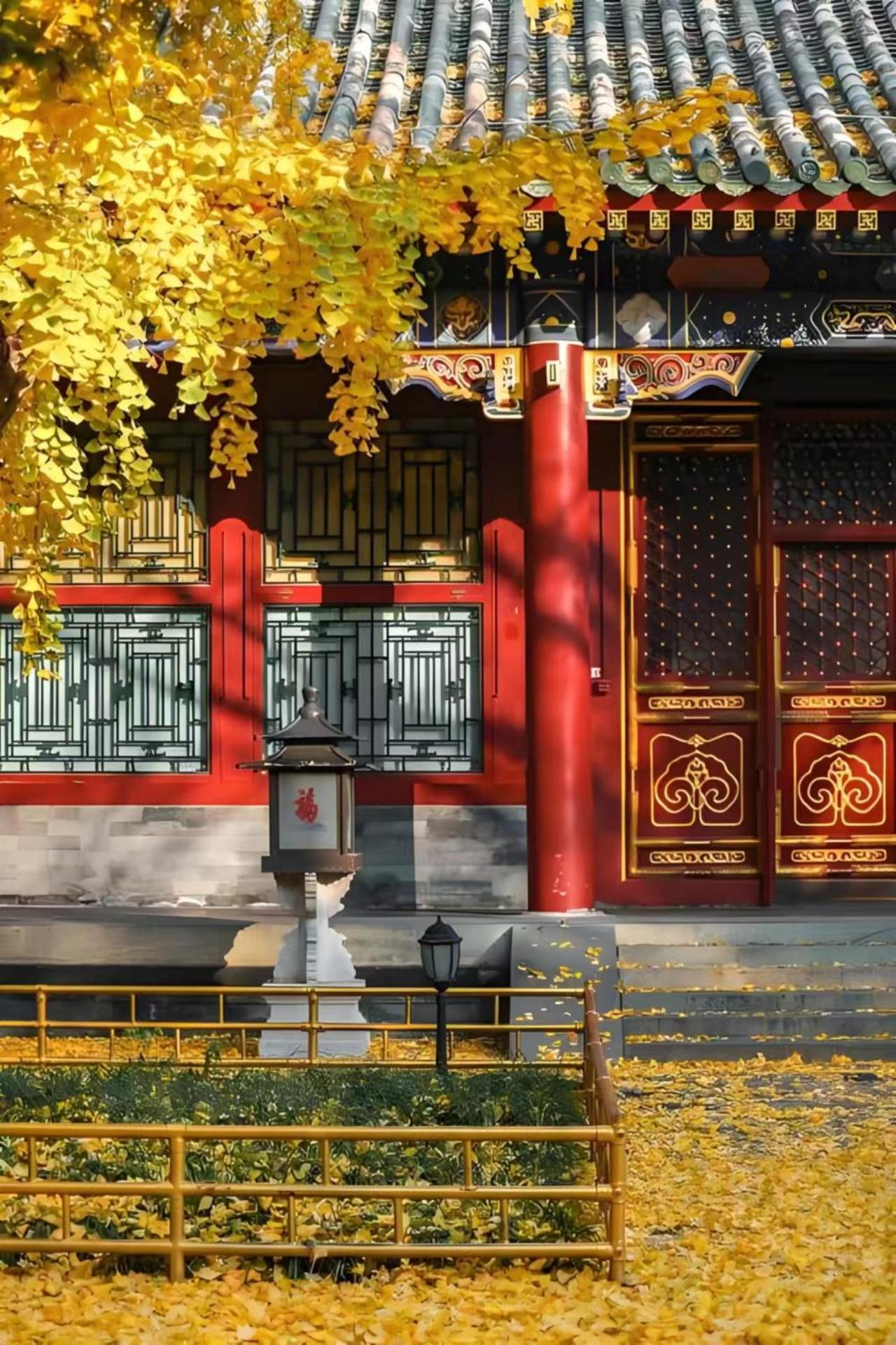 Beijing Tangfu Hotel - Located In The City Center Adjacent To The Subway Station Close To Nanluoguxiang Gulou Lama Temple Tiananmen Square Forbidden City Temple Of Heaven Providing Laundry Car Rental And Ticketing Services Exteriör bild